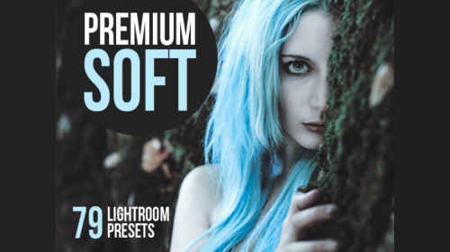 70+ Lightroom soft presets