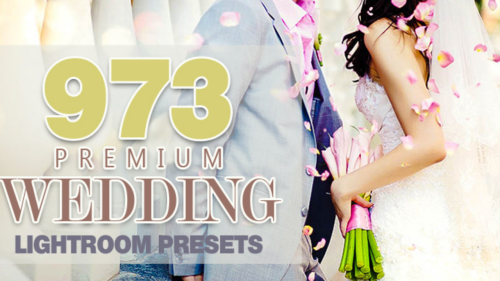 973 Premium Wedding Lightroom Presets Collection